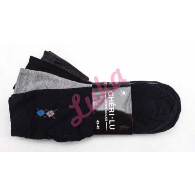 Men's socks Bixtra 2043