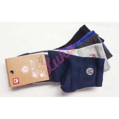 Men's socks Auravia fpx6193