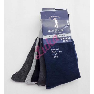 Men's socks Auravia fx7539