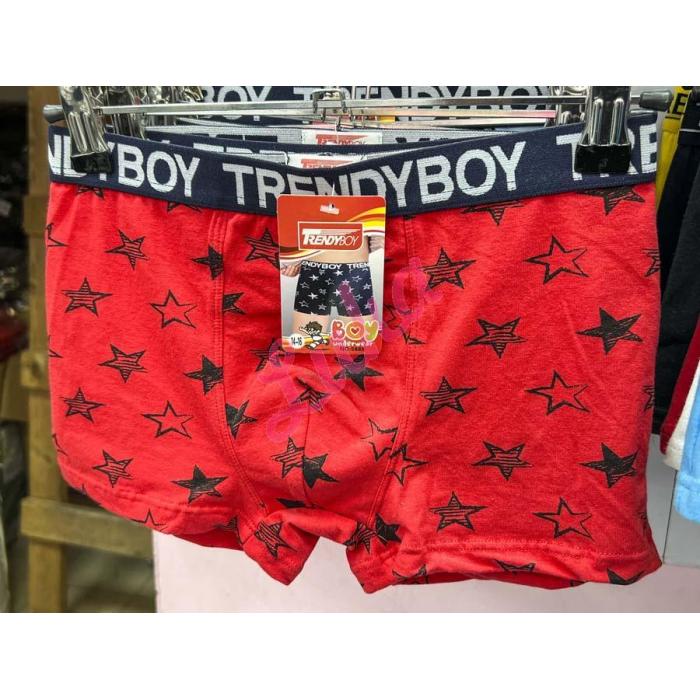 Kid's Boxer Shorts Trendy Boy 5886