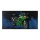 Beach Towel Pingwin pgw-