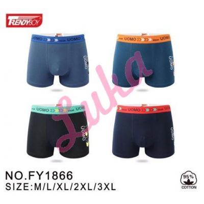 Men's boxer Trendy Boy FY1866