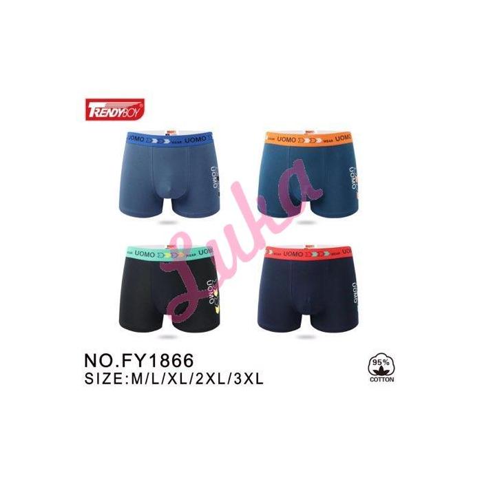 Men's boxer Trendy Boy