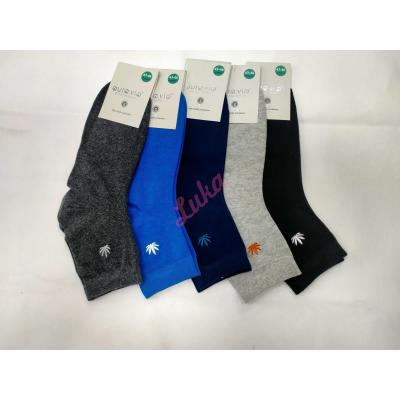 Men's socks Auravia fzx9679