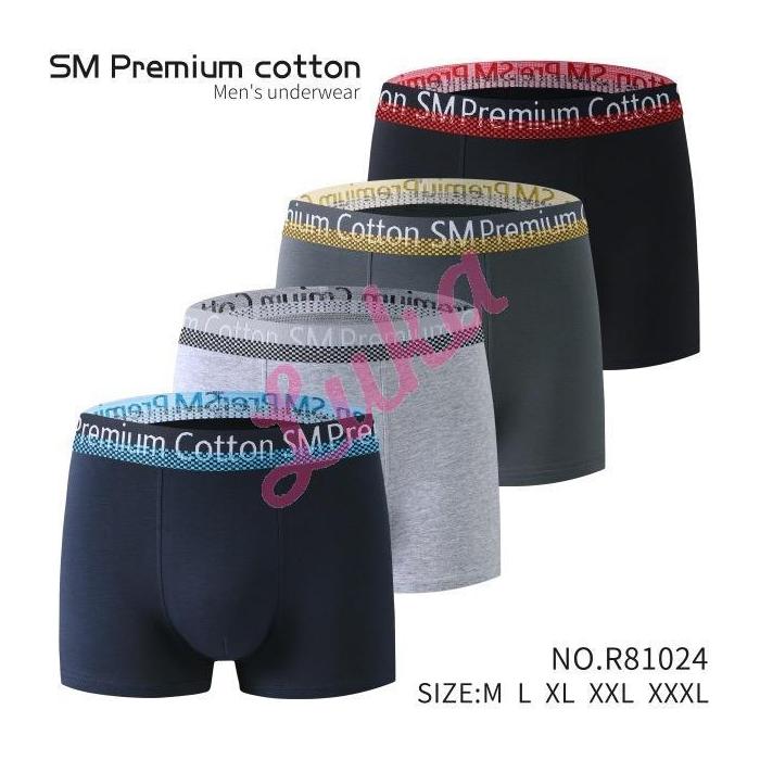 Men's boxer shorts SM Premium
