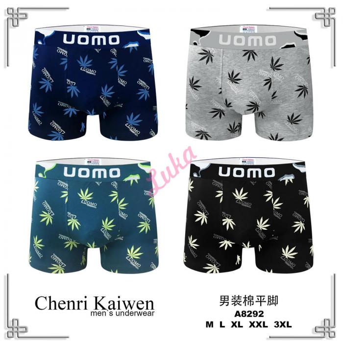 Men's boxer Mantegz