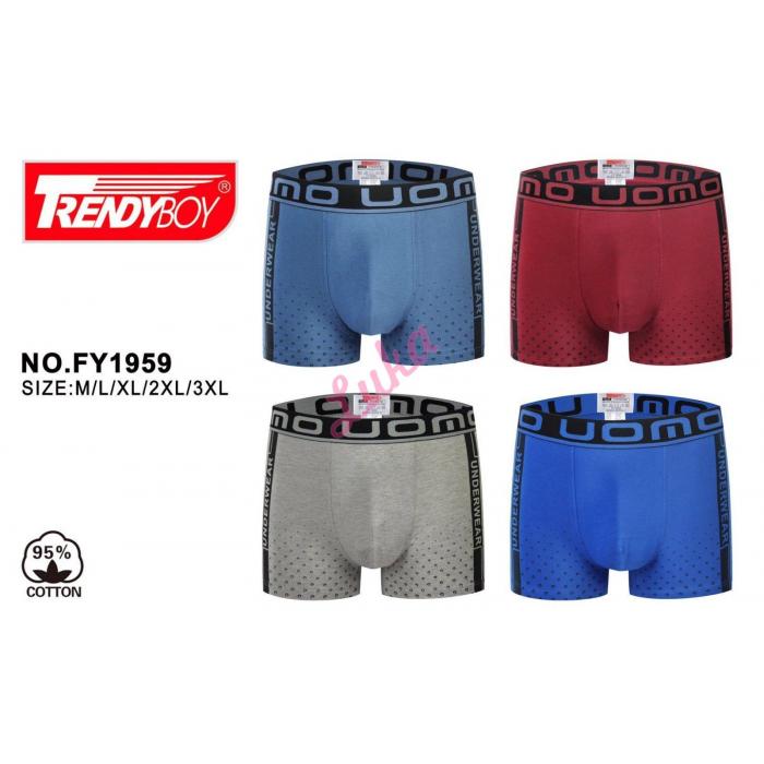 Men's boxer Trendy Boy