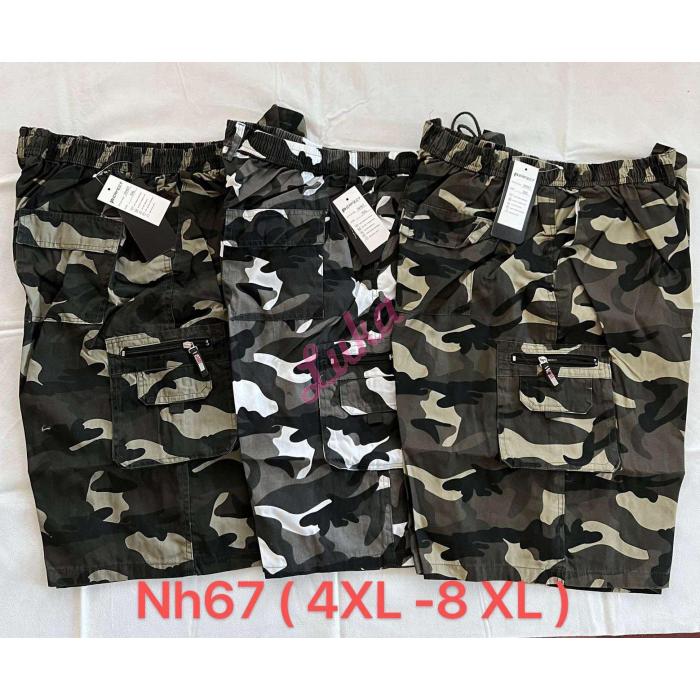 men's shorts NH