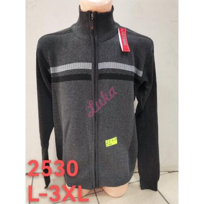 Men's Sweater Lintebob 2530