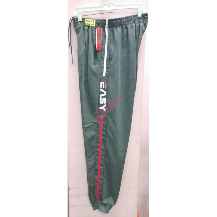 Men's Pants Lintebob 46