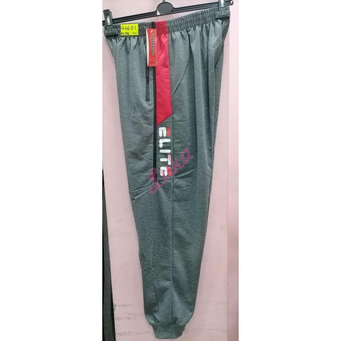 Men's Pants Lintebob 46