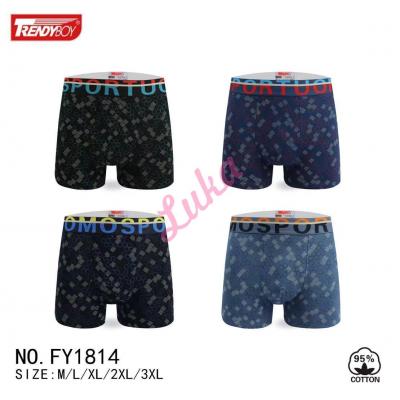 Men's boxer Trendy Boy FY1814