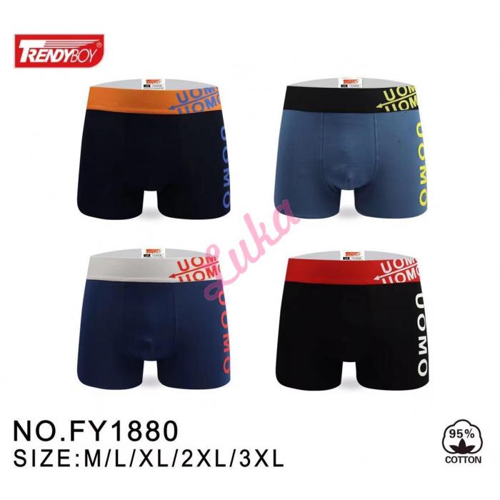 Men's boxer Trendy Boy FY