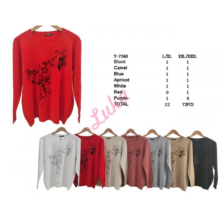 Women's sweater Hostar