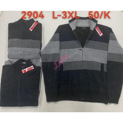 Men's sweater 2904