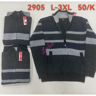 Men's sweater 2905