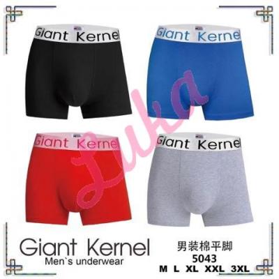 Men's boxer Trendy Boy 5043