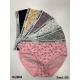 Women's panties 7005