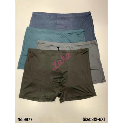 Men's boxer shorts 9977 Big size