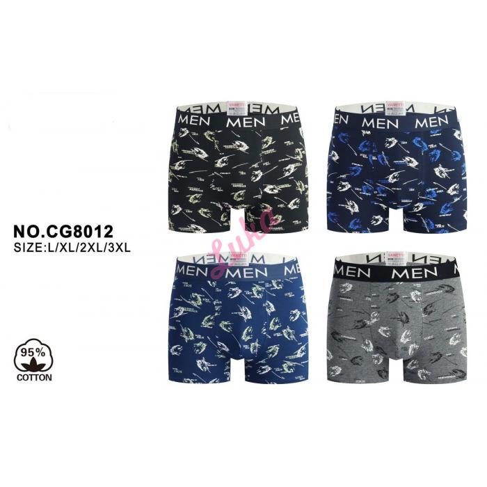 Men's boxer shorts CG8006