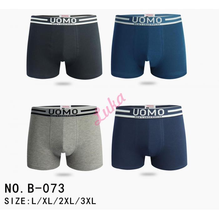 Men's boxer Victoria B071