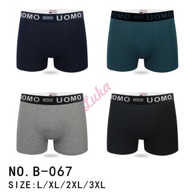 Men's boxer Victoria B067