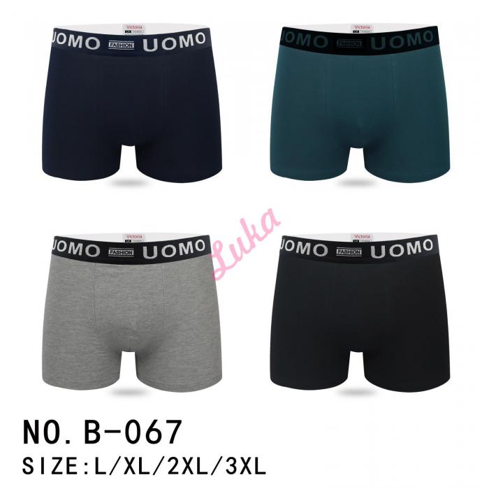 Men's boxer Victoria B070