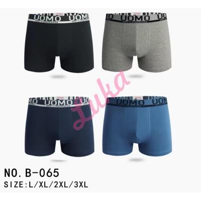 Men's boxer Victoria B065