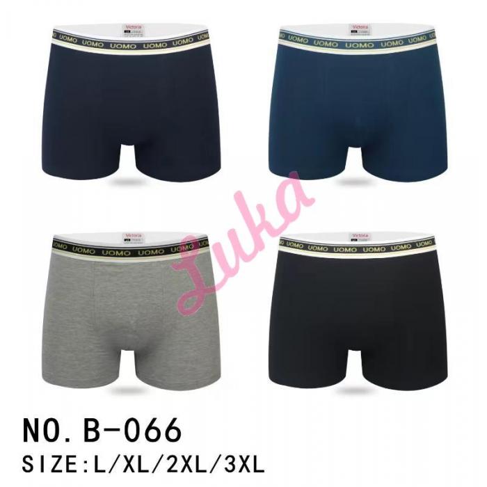 Men's boxer Victoria B065