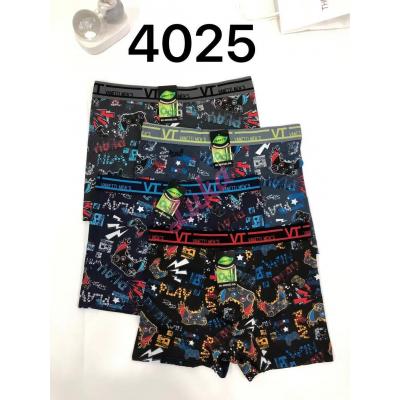 Men's boxer shorts Vanetti 4025