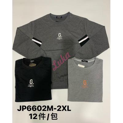 Men's hoodie JP6602