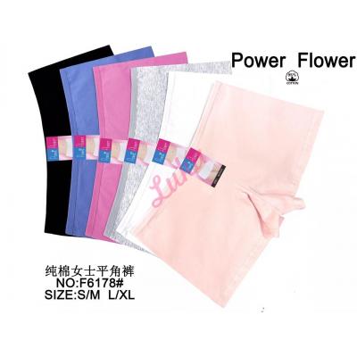 Women's panties Power Flower F6178