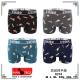 Men's boxer Mantegz 8369