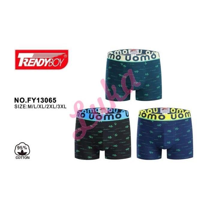 Men's boxer Trendy Boy 5032