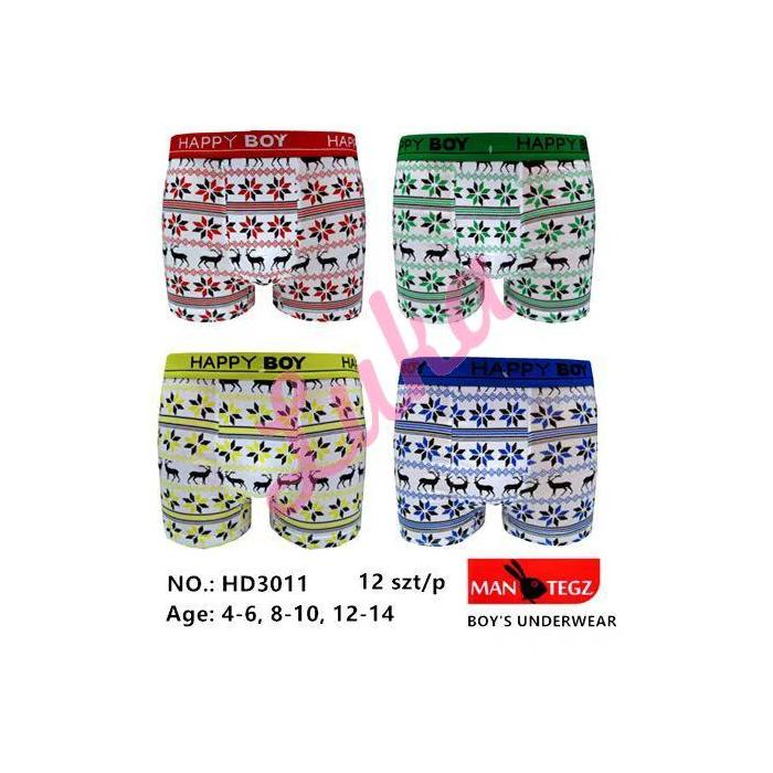 Boy's boxer Chenri Kaiwen HD3033