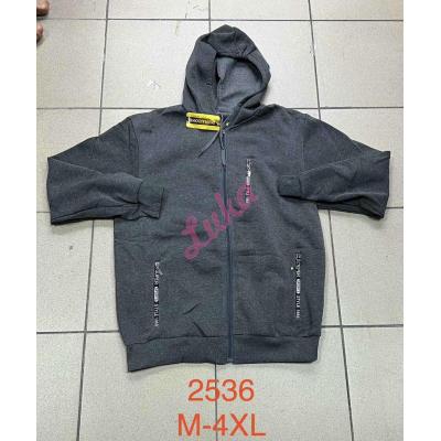 Men's hoodie 2536