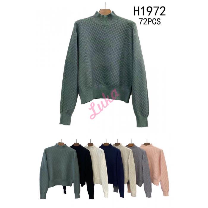 Women's sweater H1953