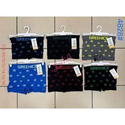 Kid's boxer shorts Greenice 4828