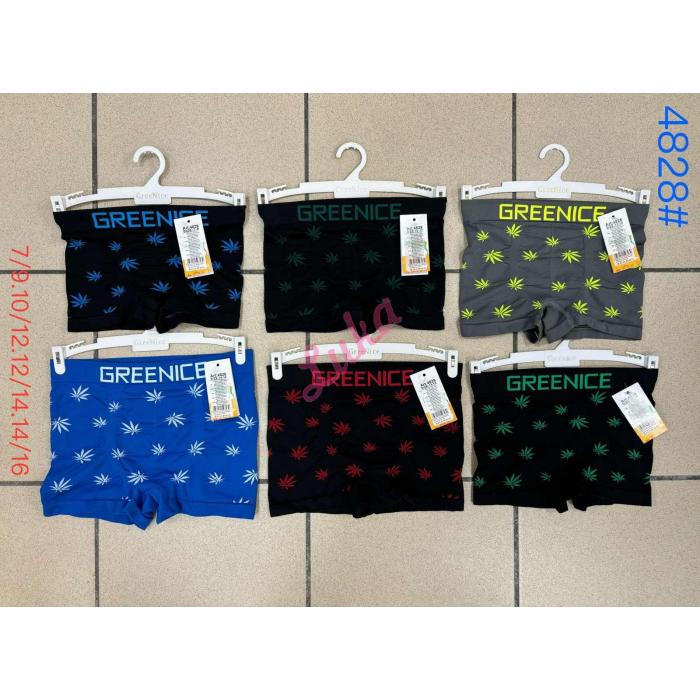 Kid's boxer shorts Greenice 4851