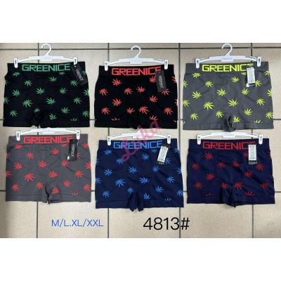 Men's boxer Greenice 4813