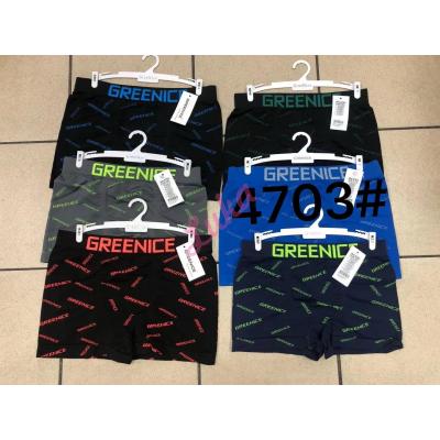 Men's boxer Greenice 4703