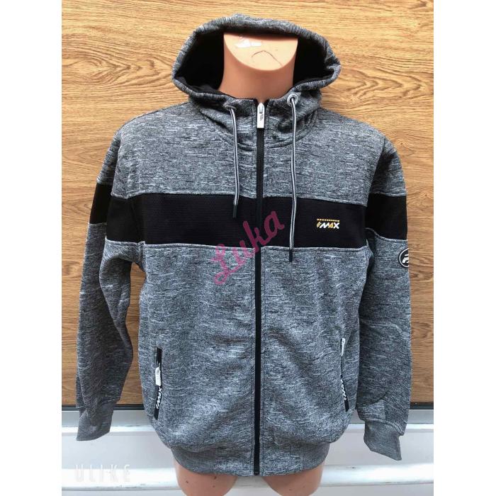 Men's hoodie 0270