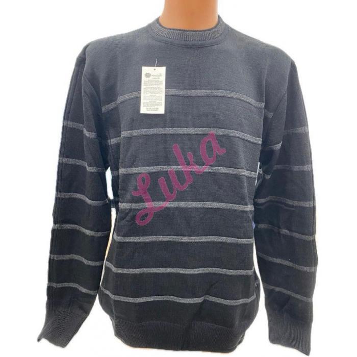 Men's sweater Baswood lom-