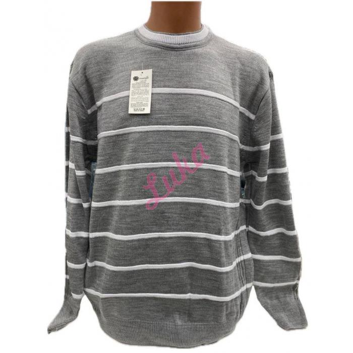 Men's sweater Baswood lom-