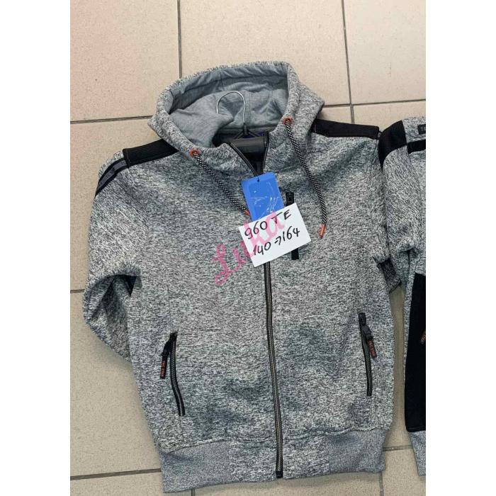 Boy's hoodie 834TE