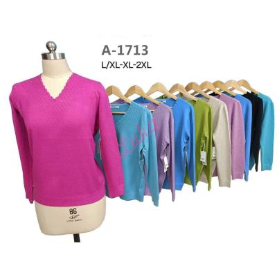 Women's sweater a1713