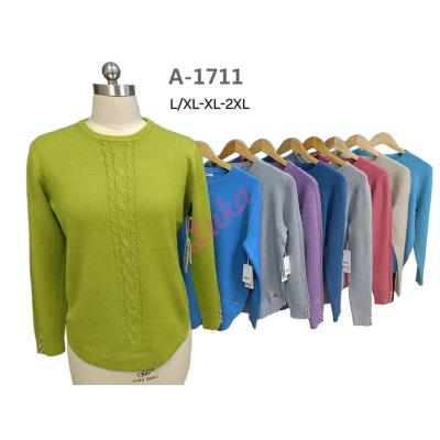 Women's sweater a1711