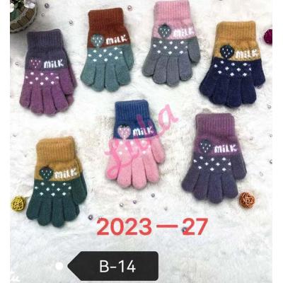 Gloves b-14