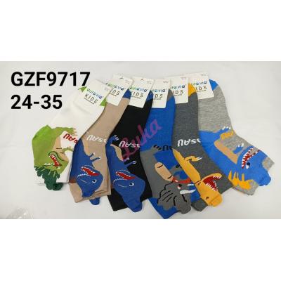 Kid's socks Auravia gzf9717