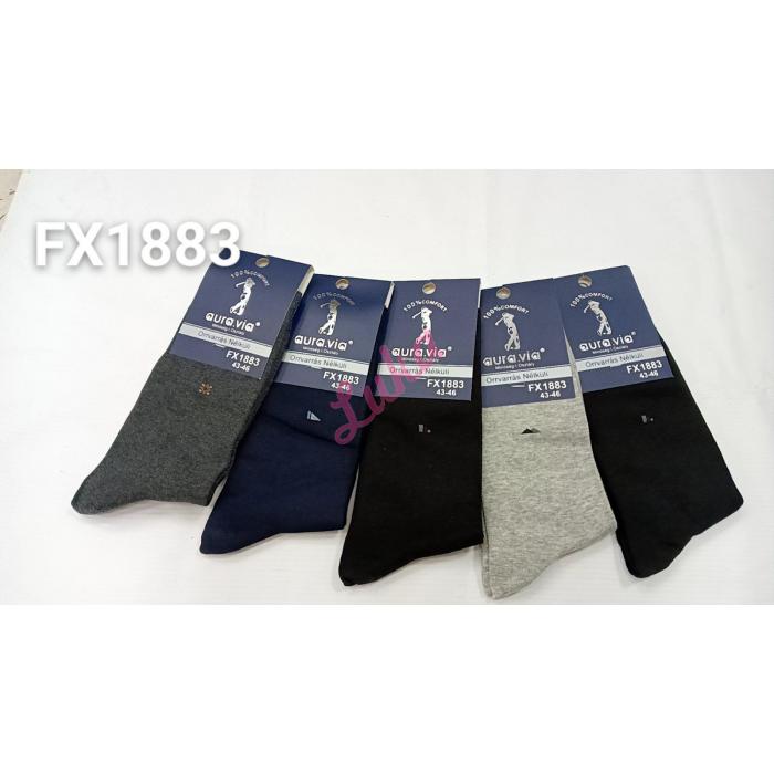 Men's socks Auravia